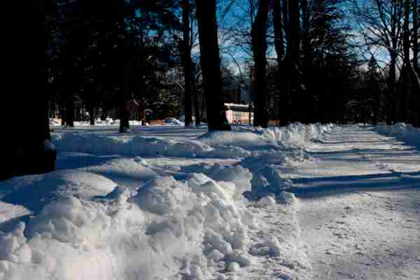 Fotografie zasněženého parku se vzrostlými jehličnatými i listnatými stromy, focená od země. Cesta se T-větví a je prohrnutá, ale stále s vrstvou sněhu. Sněhu jsou závěje.